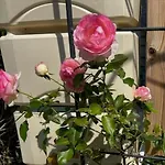 Le Ponthieu De Daire *