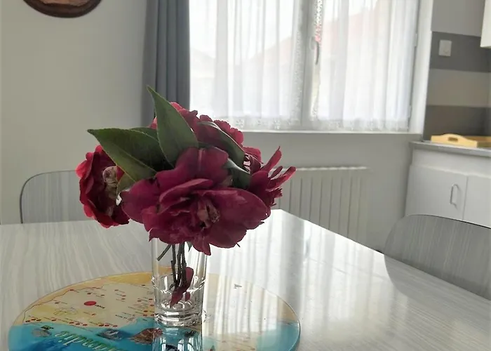 Le Ponthieu De Appartement *